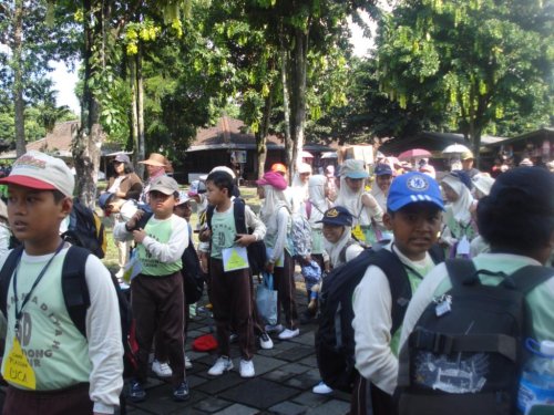 DSC03388_1